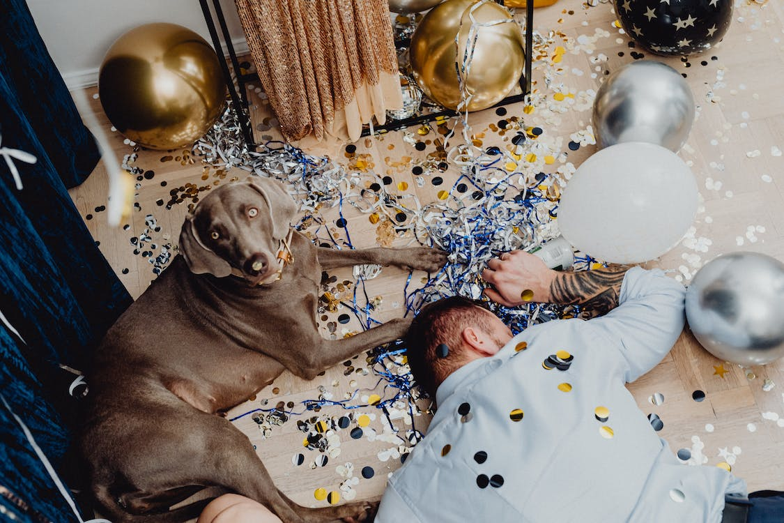 A Dog Sitting Beside a Person Lying Down Covered in Birthday Decorations and NeedingResidential Cleaning Services in Kansas City