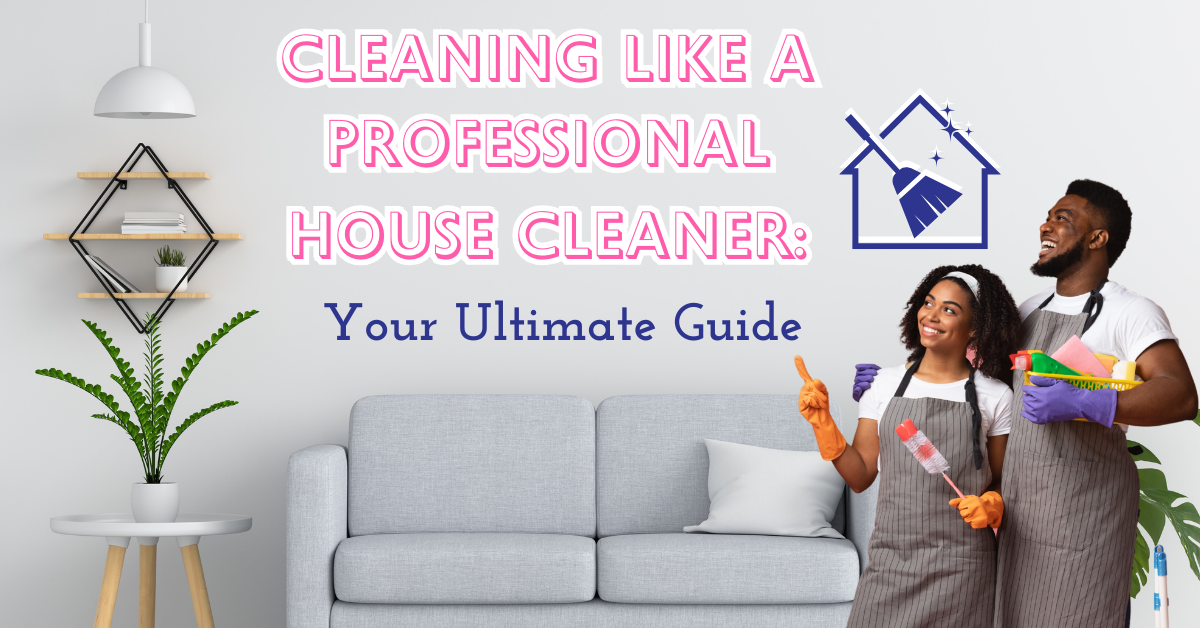 Professional house cleaners