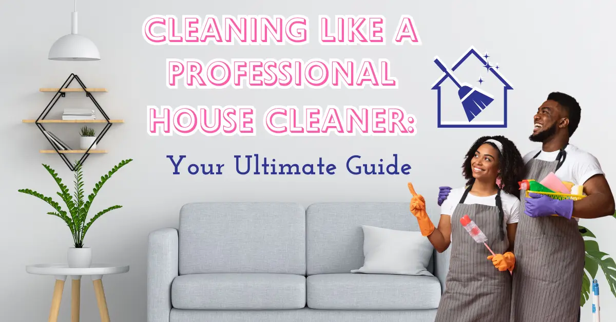 Professional house cleaners